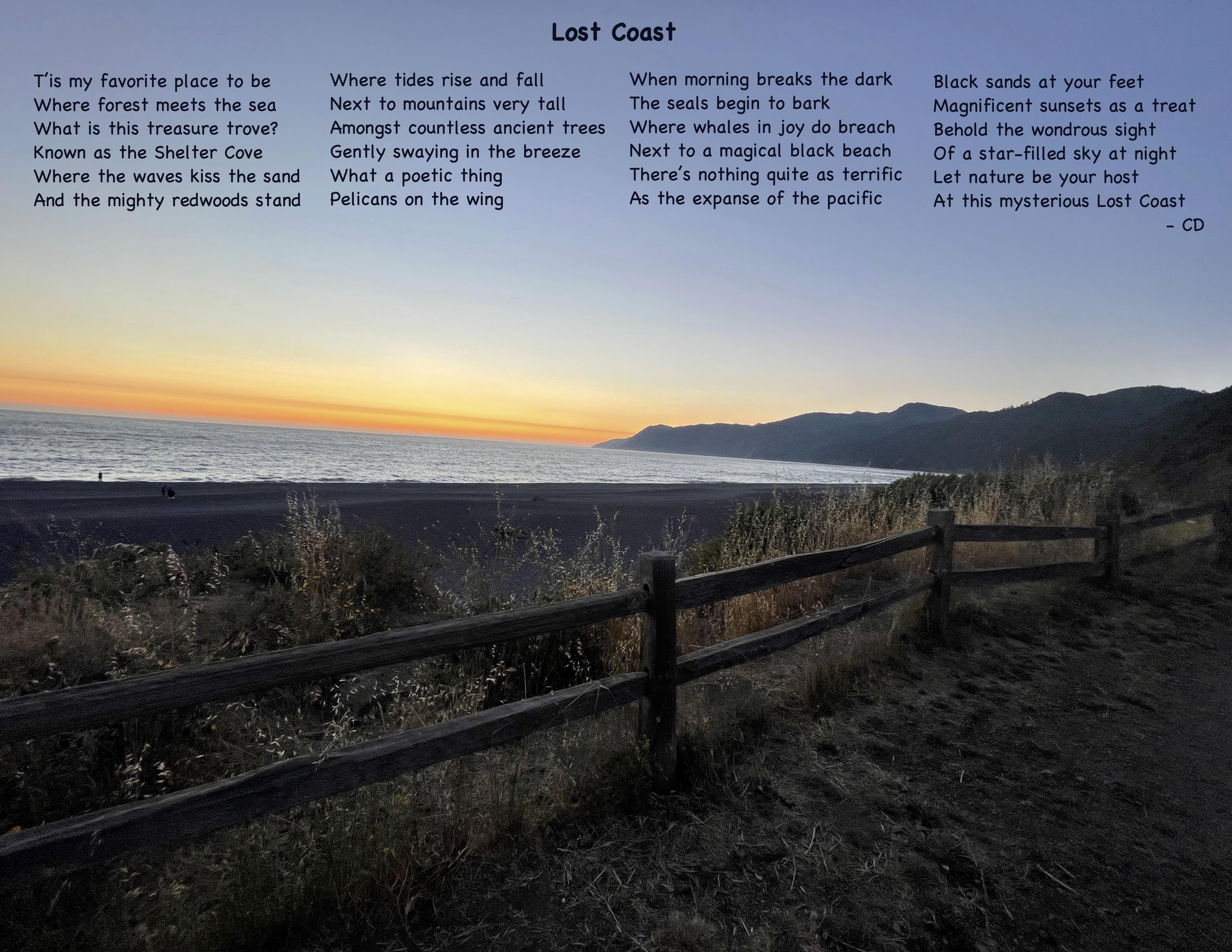 Lost Coast - Where Forest meets ocean