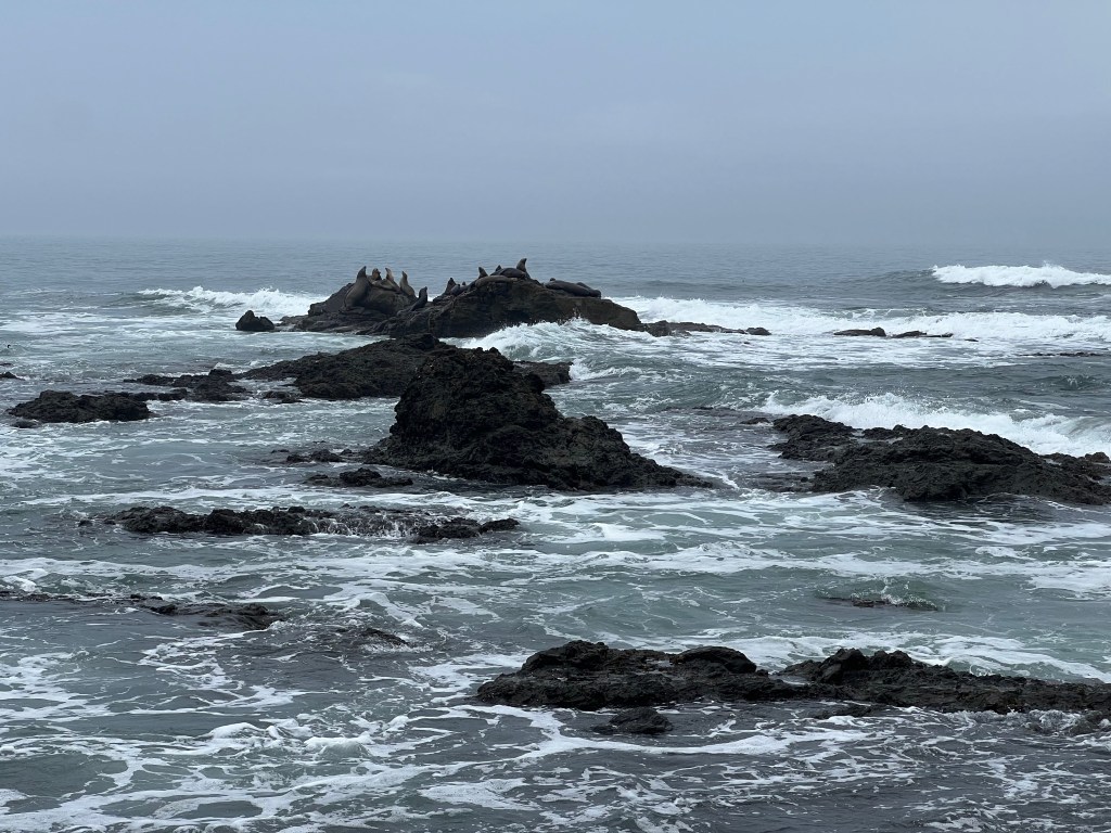 Tide Pool Beach at Mendoccino Lighthouse, Shelter Cove, The Lost Coast of California