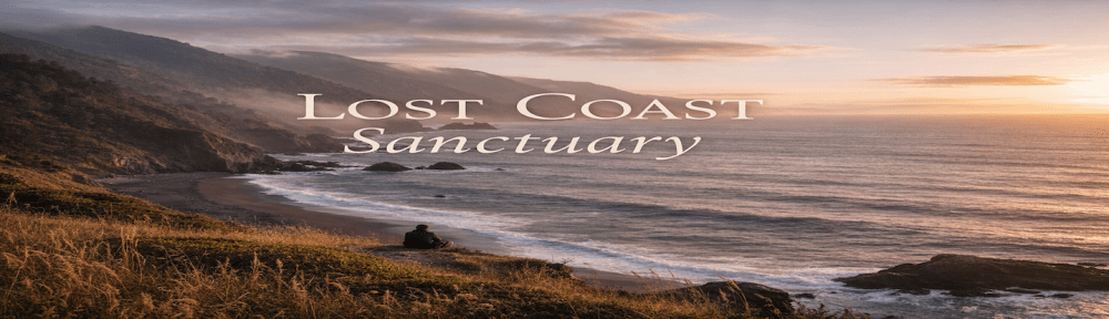 Lost Coast Sanctuary - Sunset view of Shelter Cove and California’s Lost Coast coastline with cliffs, black sand beach, and Pacific Ocean waves