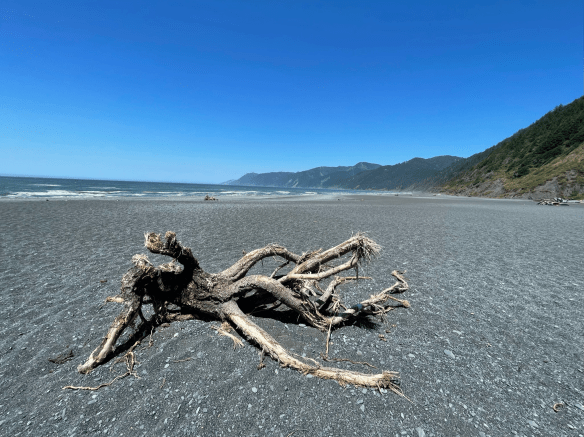 Shelter Cove Black Sands Beach